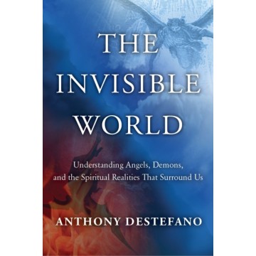 THE INVISIBLE WORLD