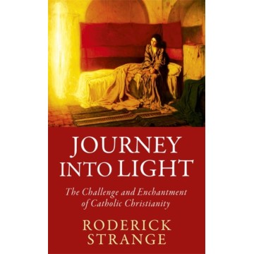 JOURNEY INTO THE LIGHT: THE...