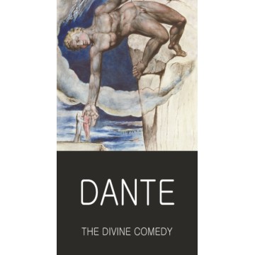 THE DIVINE COMEDY