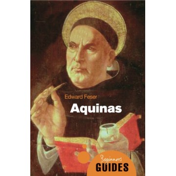 AQUINAS A BEGINNER'S GUIDE