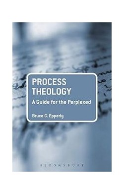 Process Theology: A Guide...